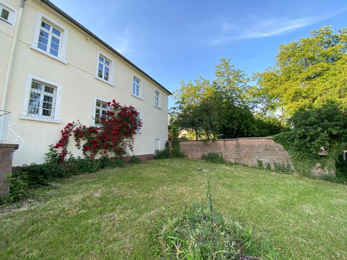 Schloss Hainfeld Extérieur photo